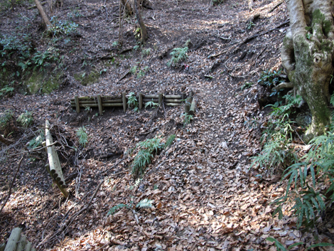 20170113hike (22)